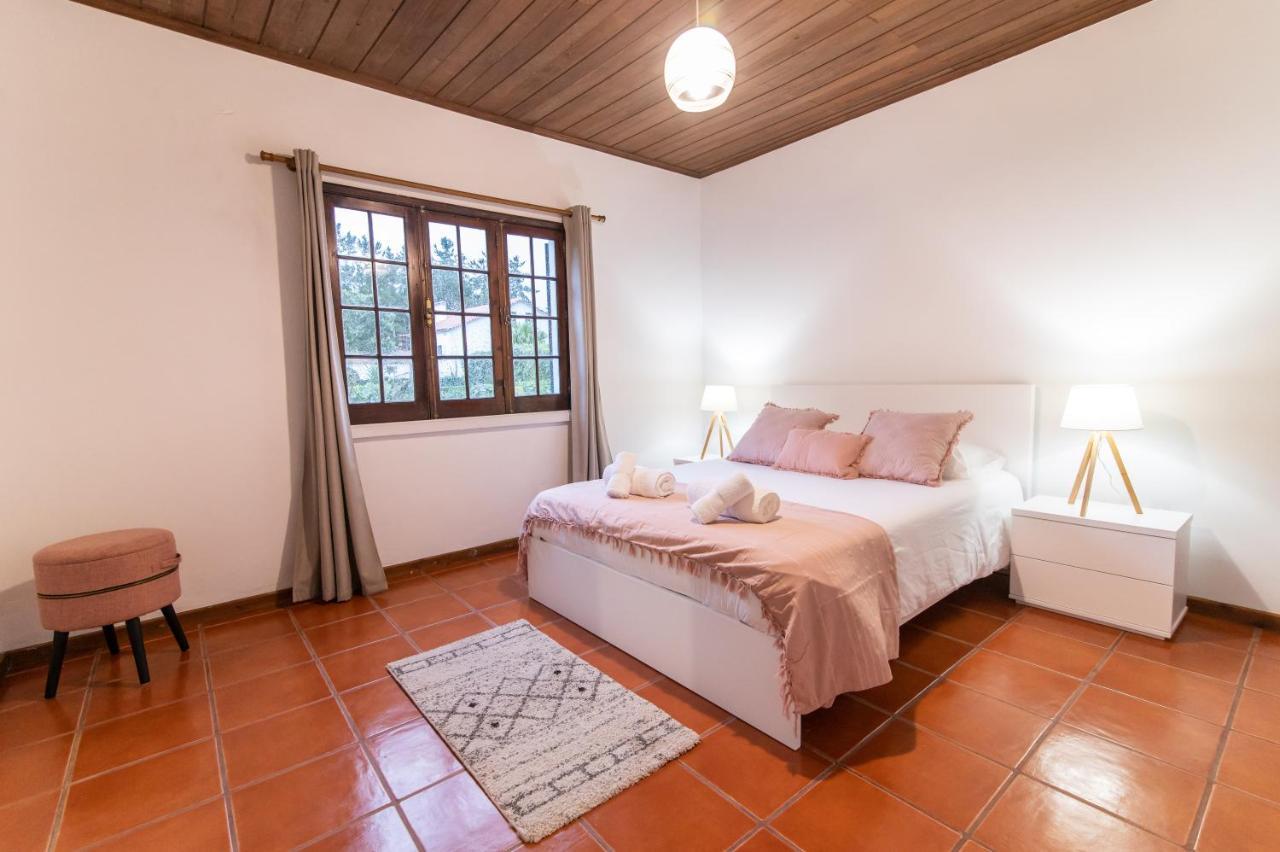 Casa Do Pinheiro With Shared Swimming Pool Villa Sao Vicente Ferreira Ngoại thất bức ảnh