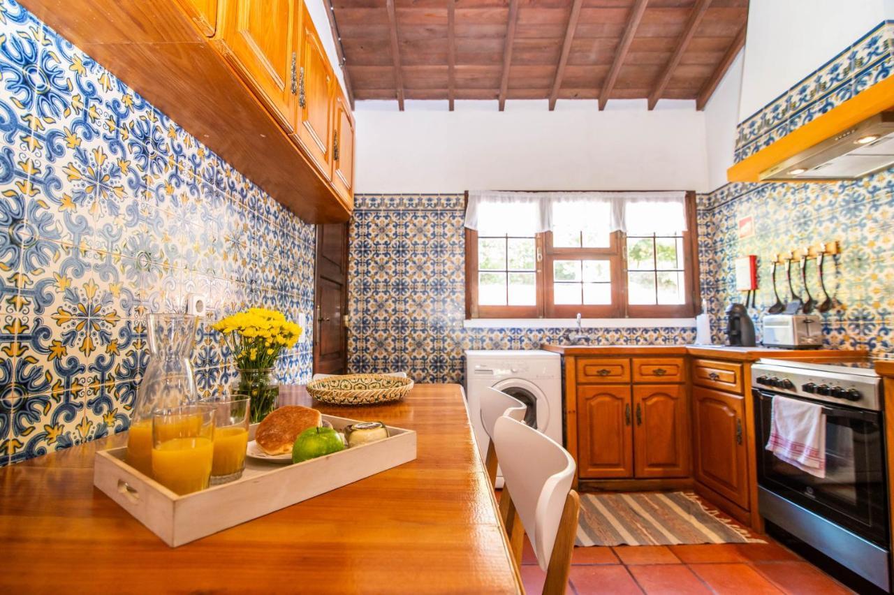 Casa Do Pinheiro With Shared Swimming Pool Villa Sao Vicente Ferreira Ngoại thất bức ảnh
