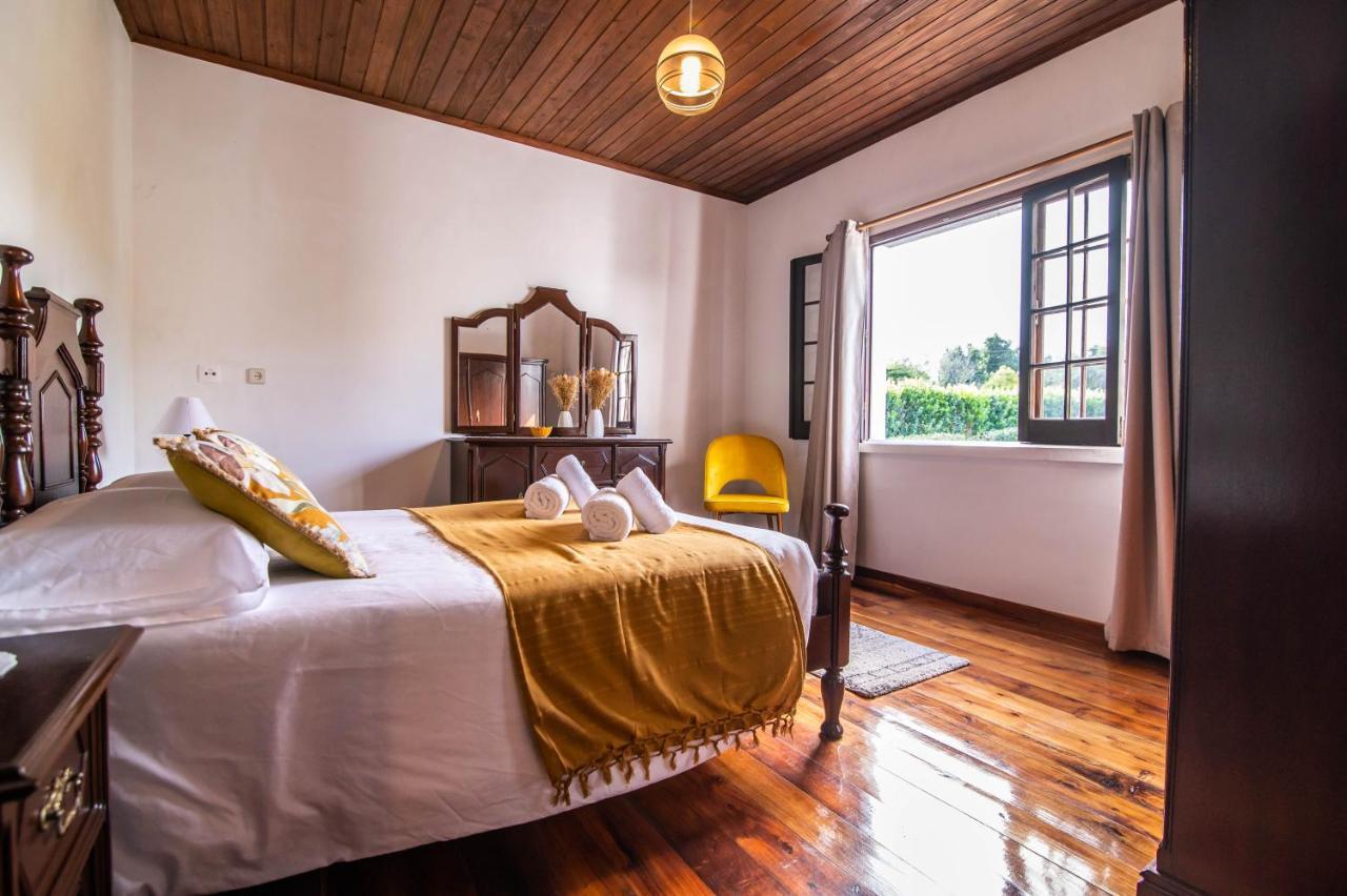 Casa Do Pinheiro With Shared Swimming Pool Villa Sao Vicente Ferreira Ngoại thất bức ảnh