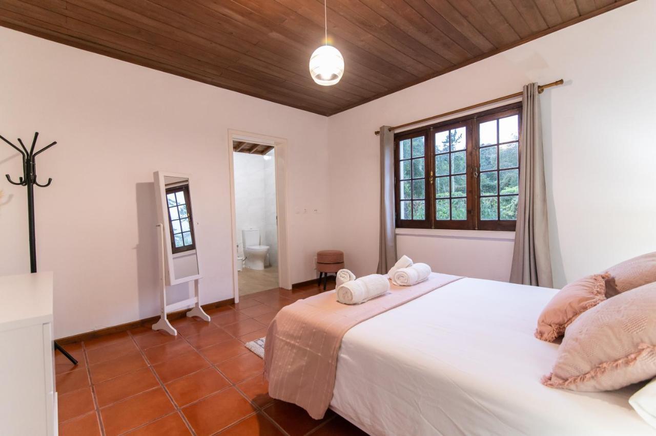 Casa Do Pinheiro With Shared Swimming Pool Villa Sao Vicente Ferreira Ngoại thất bức ảnh