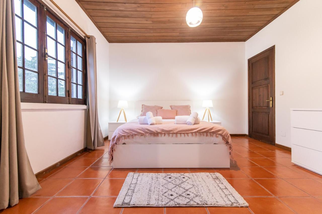 Casa Do Pinheiro With Shared Swimming Pool Villa Sao Vicente Ferreira Ngoại thất bức ảnh